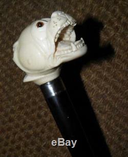 Antique Silver Ebony Walking Stick/Cane With A Carved Snarling Dogs Head Top