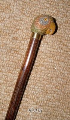 Antique Slim Walking Stick / Cane Hand-Carved Parrot Head Gold Collar By Brigg