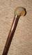 Antique Slim Walking Stick / Cane Hand-Carved Parrot Head Gold Collar By Brigg