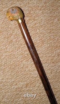 Antique Slim Walking Stick / Cane Hand-Carved Parrot Head Gold Collar By Brigg