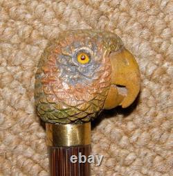 Antique Slim Walking Stick / Cane Hand-Carved Parrot Head Gold Collar By Brigg
