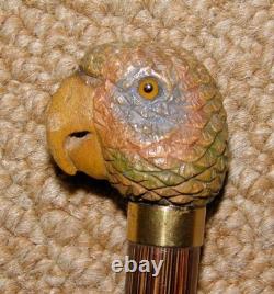 Antique Slim Walking Stick / Cane Hand-Carved Parrot Head Gold Collar By Brigg