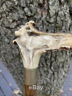 Antique Stag Horn Carved European Roe Deer Cane Walking Stick SUPER 35