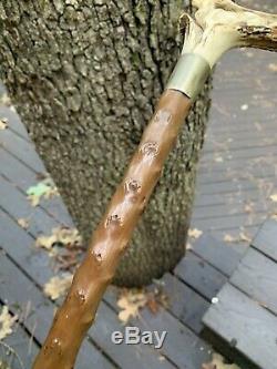 Antique Stag Horn Carved European Roe Deer Cane Walking Stick SUPER 35