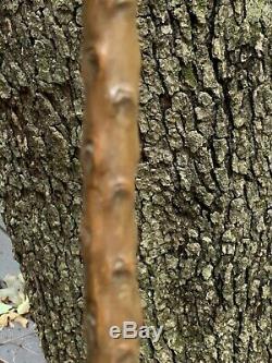 Antique Stag Horn Carved European Roe Deer Cane Walking Stick SUPER 35