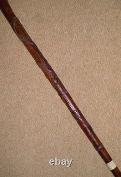 Antique Sulawesi Celebes Hardwood Walking Stick / Cane Hand-Carved Shaft Dog Top