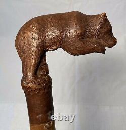 Antique Swiss Black Forest Wood Carved BEAR Glass Eyes Walking Stick Cane c1920