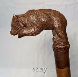 Antique Swiss Black Forest Wood Carved BEAR Glass Eyes Walking Stick Cane c1920