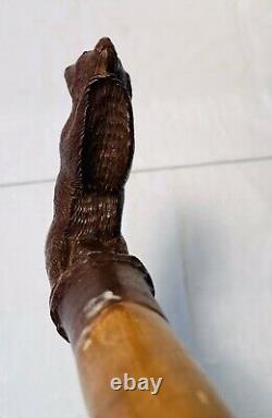 Antique Swiss Black Forest Wood Carved BEAR Glass Eyes Walking Stick Cane c1920