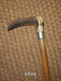 Antique Traditional Carved Antler Topped Silver Collar Walking Cane Stick