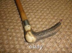 Antique Traditional Carved Antler Topped Silver Collar Walking Cane Stick