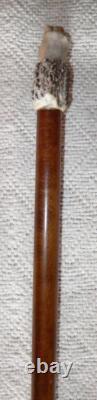 Antique Treen Walking Stick / Cane Hand-Carved Hand & Skull Antler Handle