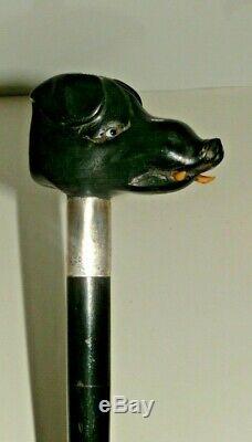 Antique Treen Walking Stick/Cane With Hand carved Wild Boar Head. HM -1911