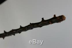 Antique VTG Hand Carved Shillelagh Cane Walking Stick