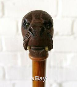 Antique Victorian Swagger Walking Stick Carved Walrus Head Top Glass Eyes