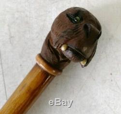 Antique Victorian Swagger Walking Stick Carved Walrus Head Top Glass Eyes