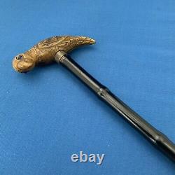 Antique Victorian Walking Stick Cane Carved Bovine Horn Parrot