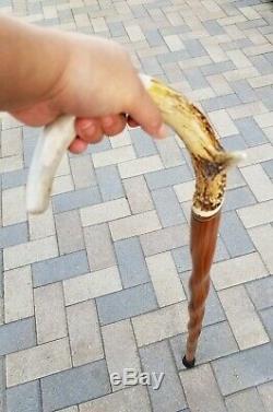 Antique Vintage Hand Carved Wood Walking Stick Cane Antler Handle 38.75