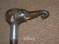 Antique Walking Cane Hand Carved Elephant Head Top H/m Silver Collar London 1906