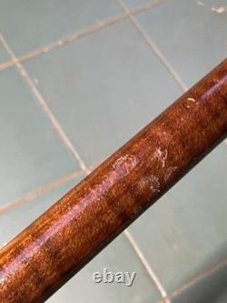 Antique Walking Stick Black Forest Bear Style Handle Carved Staff 34in Superb
