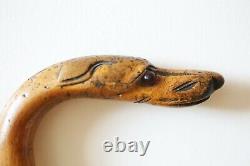 Antique Walking Stick Cane Carved Dog Head Handle