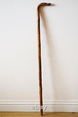 Antique Walking Stick Cane Carved Dog Head Handle