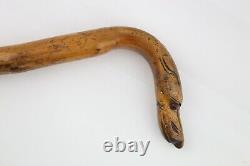 Antique Walking Stick Cane Carved Dog Head Handle