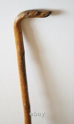Antique Walking Stick Cane Carved Dog Head Handle