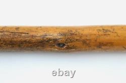 Antique Walking Stick Cane Carved Dog Head Handle