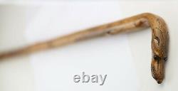 Antique Walking Stick Cane Carved Dog Head Handle