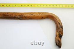 Antique Walking Stick Cane Carved Dog Head Handle