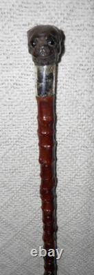 Antique Walking Stick Cane Carved Pug Dog Head Handle Hallmarked Silver Collar