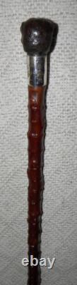 Antique Walking Stick Cane Carved Pug Dog Head Handle Hallmarked Silver Collar