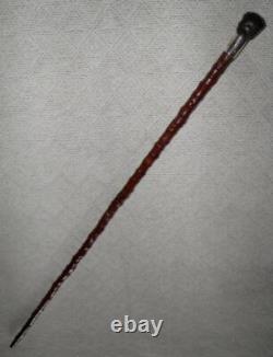 Antique Walking Stick Cane Carved Pug Dog Head Handle Hallmarked Silver Collar