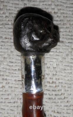 Antique Walking Stick Cane Carved Pug Dog Head Handle Hallmarked Silver Collar