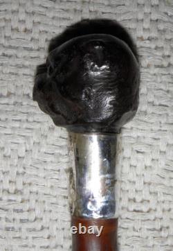 Antique Walking Stick Cane Carved Pug Dog Head Handle Hallmarked Silver Collar