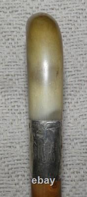 Antique Walking Stick Cane Entirely Carved Shaft Silver Collar Hallmarked 1919