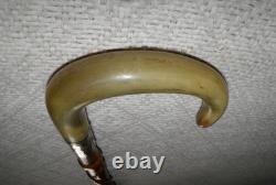 Antique Walking Stick Cane Entirely Carved Shaft Silver Collar Hallmarked 1919