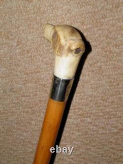Antique Walking Stick Cane Hand-Carved Antler Glass Eyed Hunt Hound Whistle Top