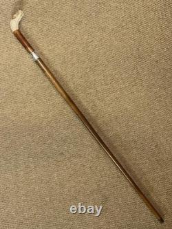 Antique Walking Stick Cane Hand Carved Czilinsky Hound Hallmarked Silver BRIGG