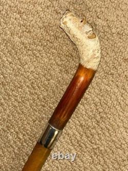 Antique Walking Stick Cane Hand Carved Czilinsky Hound Hallmarked Silver BRIGG