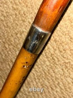 Antique Walking Stick Cane Hand Carved Czilinsky Hound Hallmarked Silver BRIGG