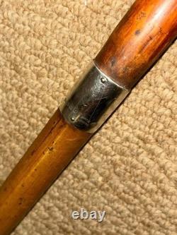 Antique Walking Stick Cane Hand Carved Czilinsky Hound Hallmarked Silver BRIGG