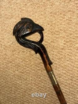 Antique Walking Stick Cane Hand-Carved Exotic Bird & Hallmarked Silver Collar