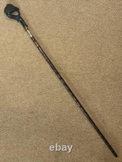 Antique Walking Stick Cane Hand-Carved Exotic Bird & Hallmarked Silver Collar
