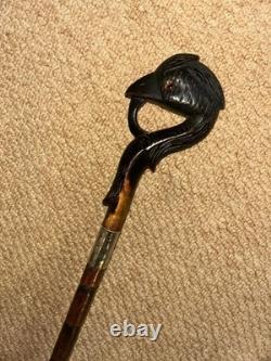 Antique Walking Stick Cane Hand-Carved Exotic Bird & Hallmarked Silver Collar