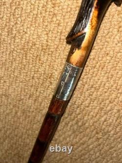Antique Walking Stick Cane Hand-Carved Exotic Bird & Hallmarked Silver Collar