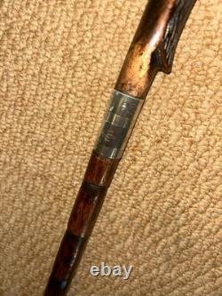 Antique Walking Stick Cane Hand-Carved Exotic Bird & Hallmarked Silver Collar