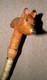 Antique Walking Stick / Cane Hand-Carved Fox Head Handle Silver Birch Bark Shaft