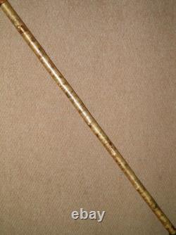 Antique Walking Stick / Cane Hand-Carved Fox Head Handle Silver Birch Bark Shaft